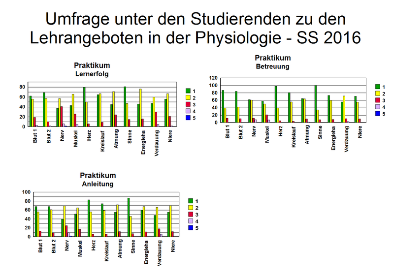 Fragebogen_2_2016