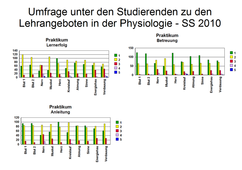 Fragebogen_2_2010