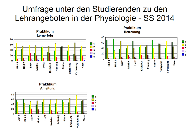 Fragebogen_2_2014