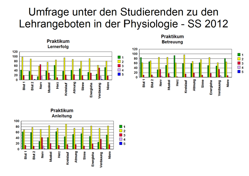 Fragebogen_1_2012
