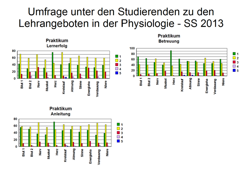Fragebogen_1_2013