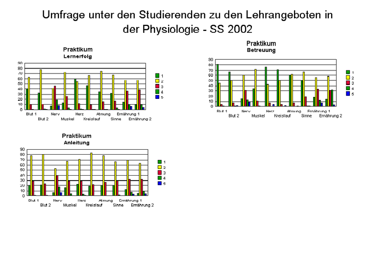 Fragebogen_2_2002