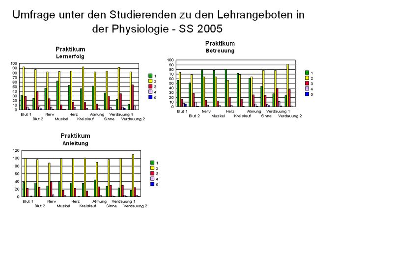 Fragebogen_2_2005