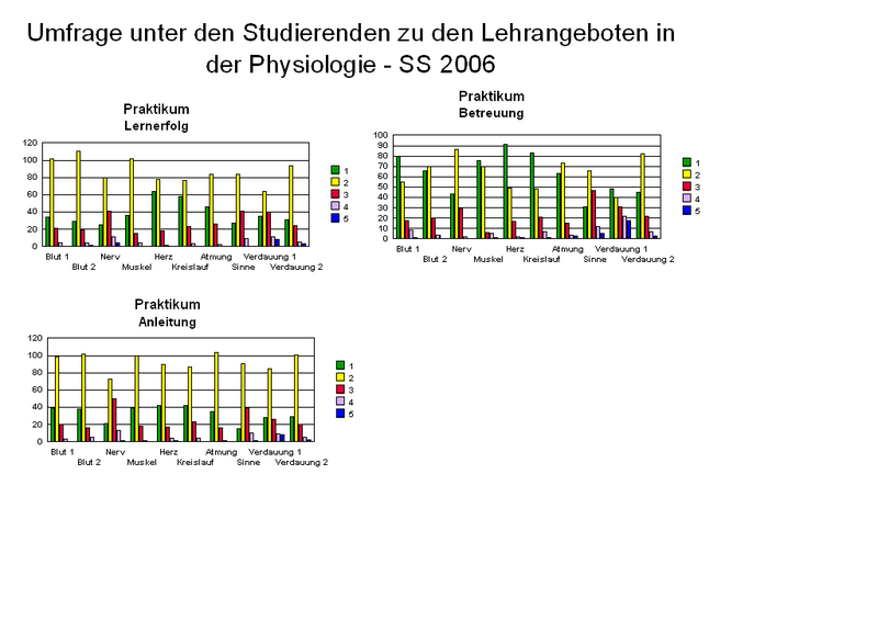 Fragebogen_2_2006