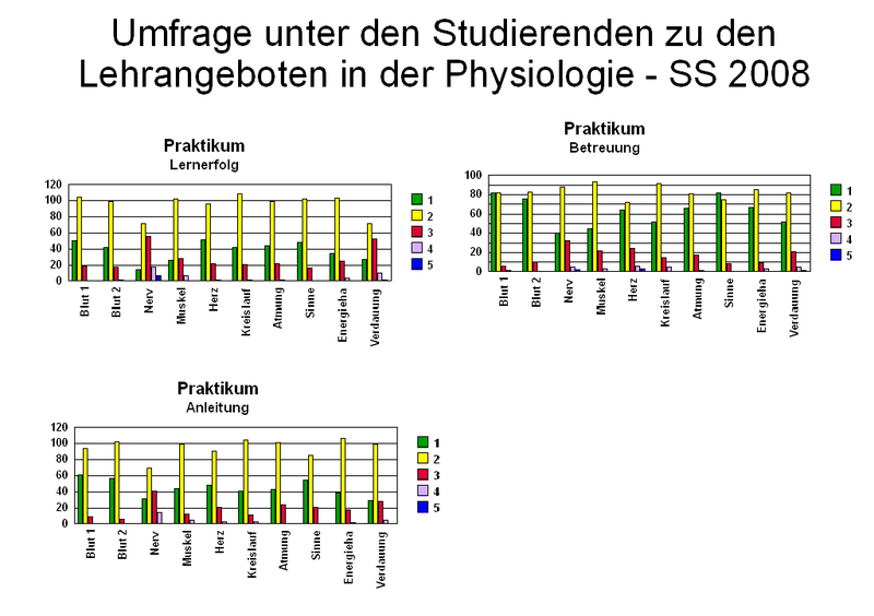Fragebogen_2_2008