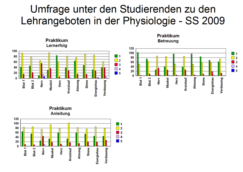 Fragebogen_2_2009