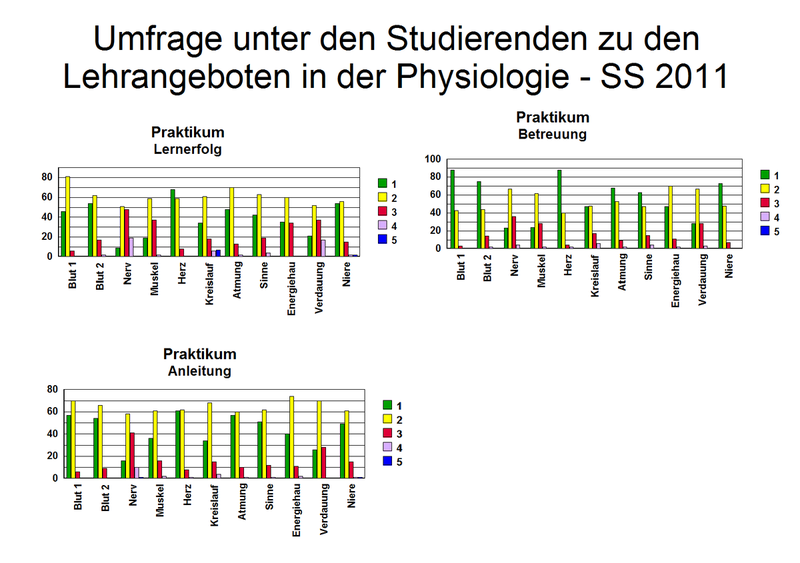Fragebogen_2_2011
