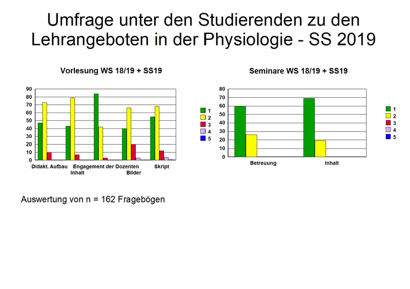 Fragebogen_1_2019