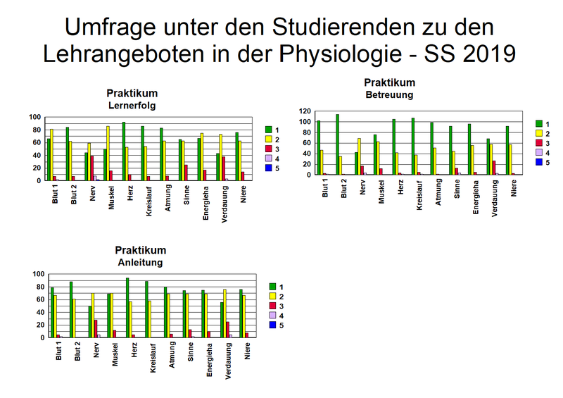 Fragebogen_2_2019