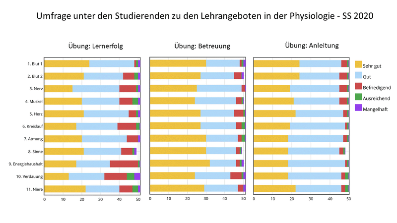 Fragebogen_1_2020