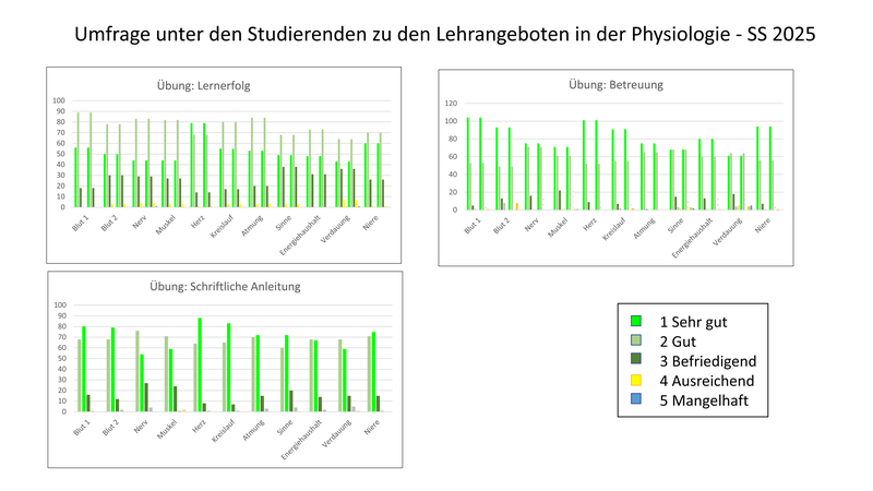 Fragebogen_2_2025