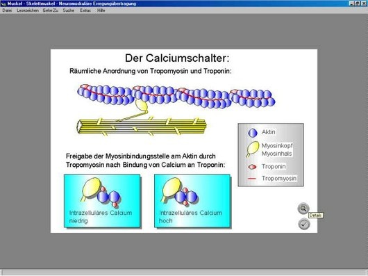 Physio Bilder