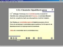 Physio Zusammenfassung