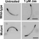 Figure3-300x297.png