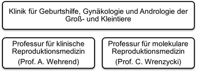 Schaubild