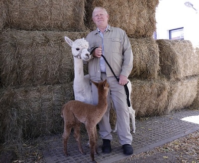 Rudolf Büber 2020 rudolf büber