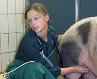 Stefanie Dietz