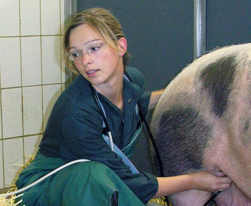 Stefanie Dietz