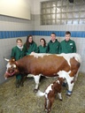 Famulanten 2012/13