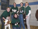 famulanten 2008_09