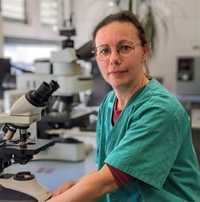 Katrin Koslowski