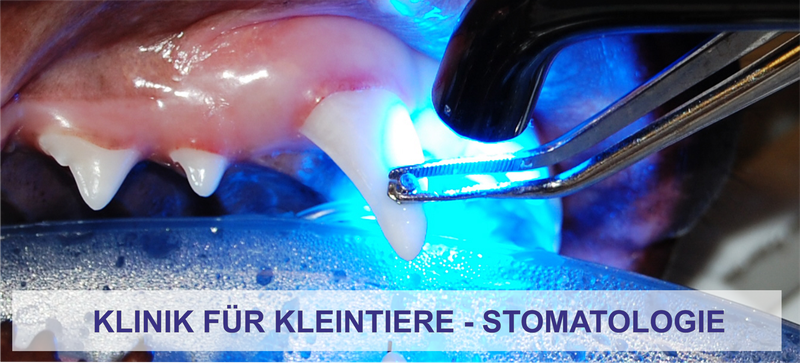 Stomatologie