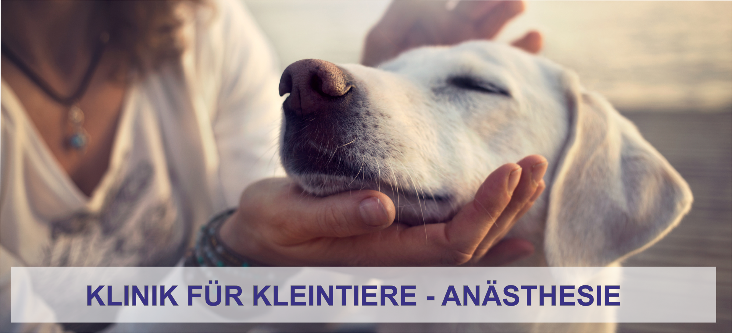 Anästhesie der Klinik für Kleintiere