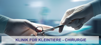 Chirurgie der Klinik für Kleintiere