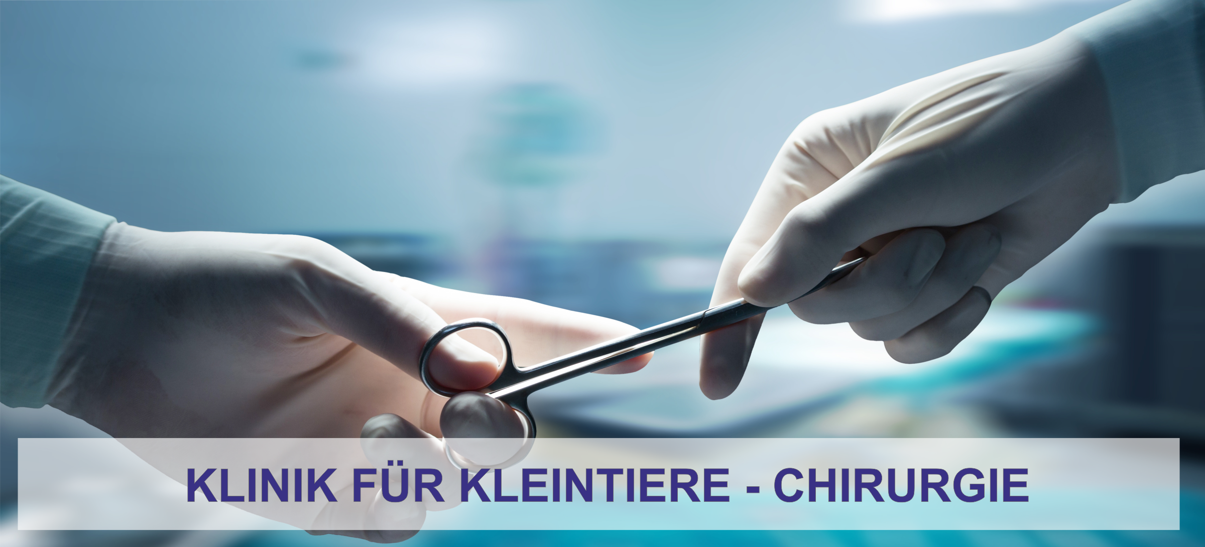 Chirurgie der Klinik für Kleintiere