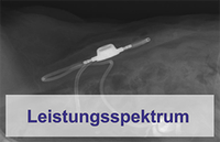 Leistungsspektrum Chirurgie
