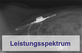 Leistungsspektrum Chirurgie