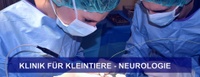 NEURO HEADER.jpg