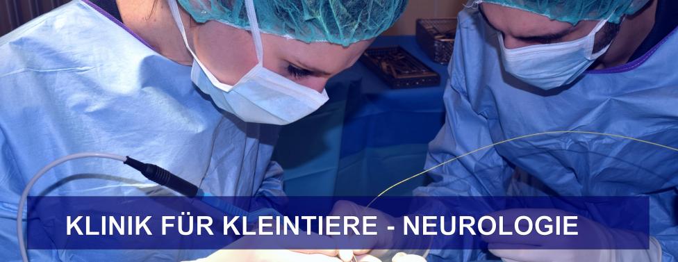 NEURO HEADER.jpg