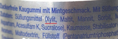 Xylitolvergiftung beim Hund