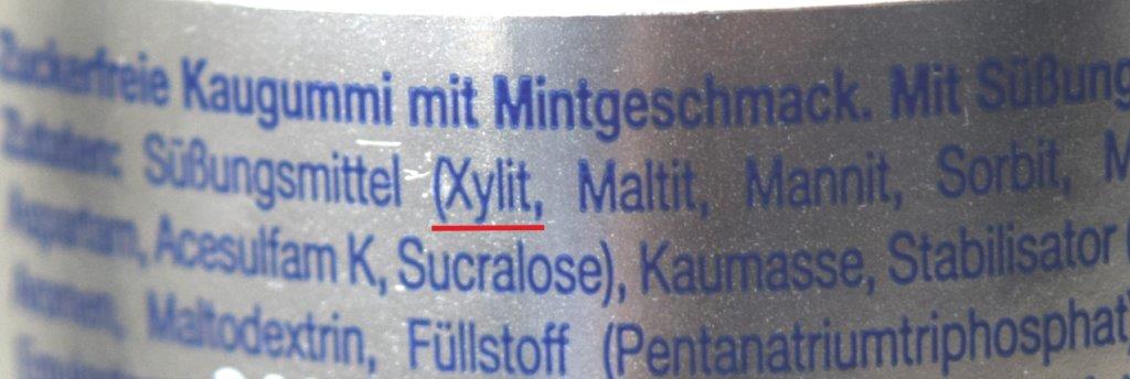 Xylitolvergiftung beim Hund