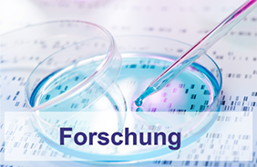 Forschung Neurologie