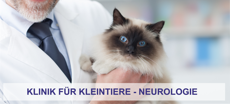 Neurologie der Klinik für Kleintiere