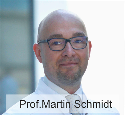 Prof. Dr. Martin Schmidt