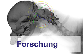Forschung Radiologie