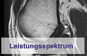 Leistungsspektrum Radiologie