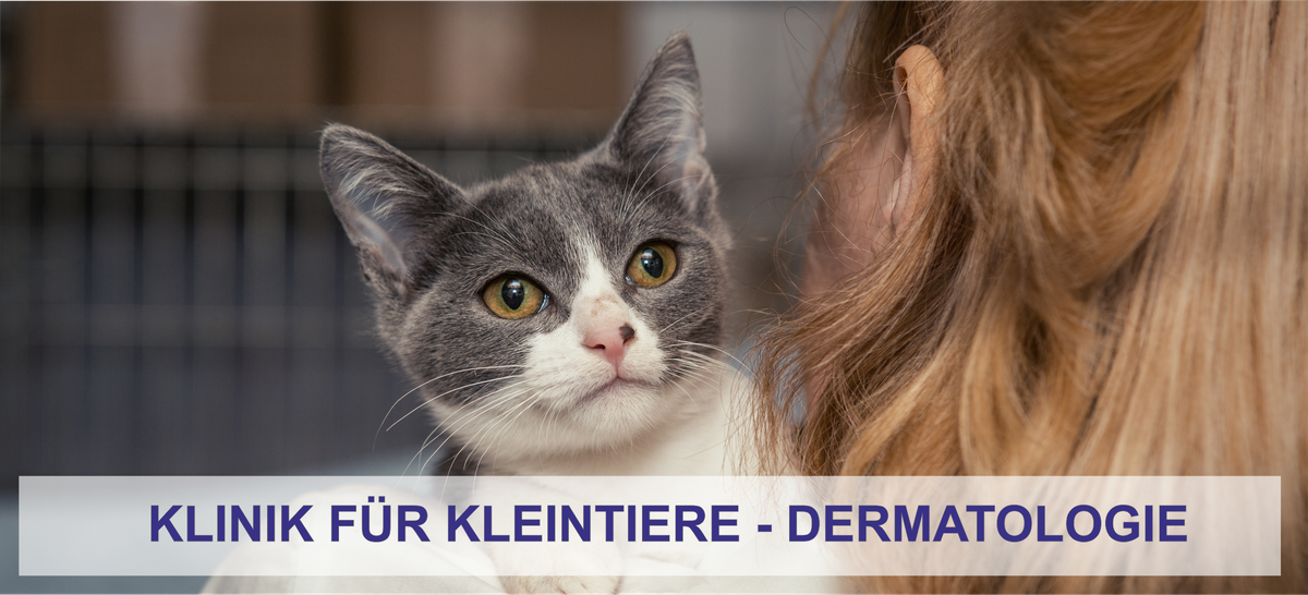 Dermatologie der Klinik für Kleintiere