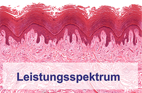 Leistungsspektrum