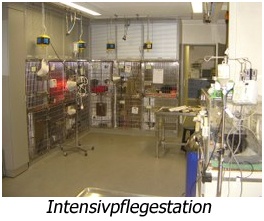 IntensivPflege.jpg