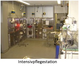 copy_of_IntensivPflege.jpg