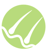 copy_of_haut.png