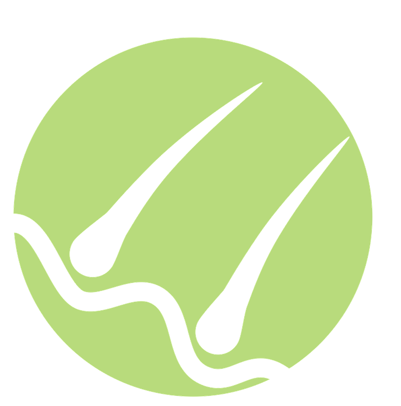 copy_of_haut.png