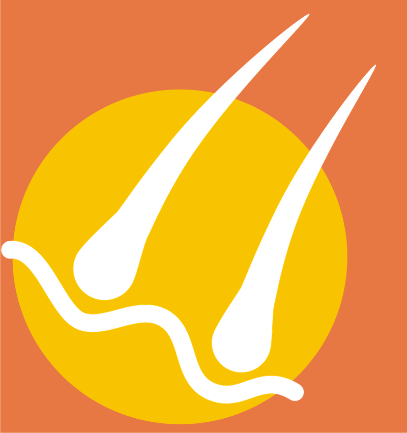haut.png