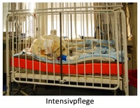 intensivpflege1von1.jpg