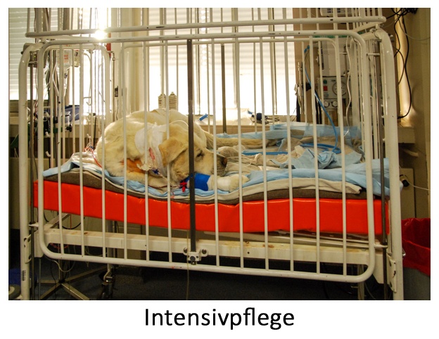 intensivpflege1von1.jpg