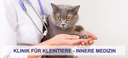 Innere Medizin der Klinik für Kleintiere
